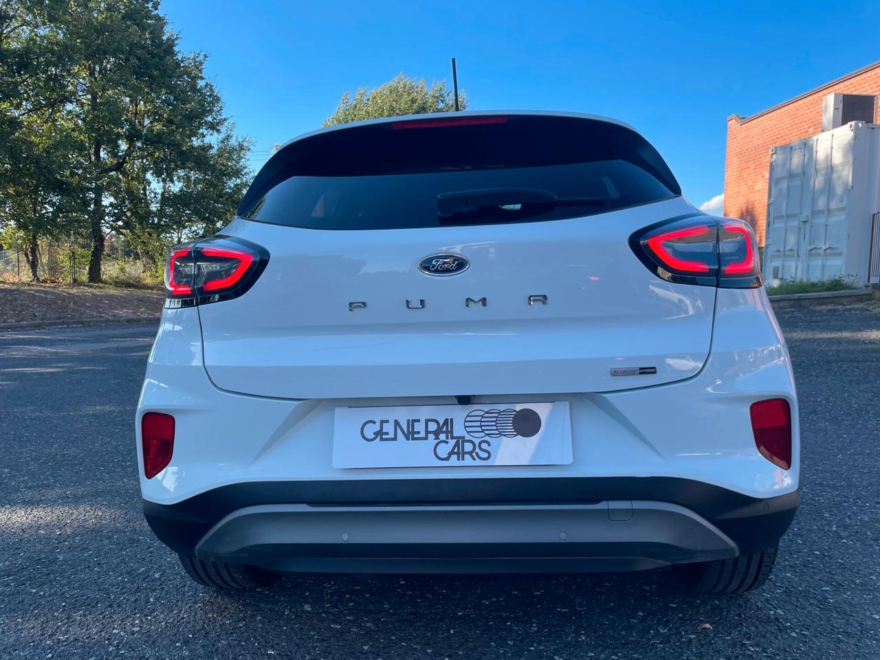 Ford Puma 1.0 EcoBoost Hybrid 125 CV S&S Titanium
