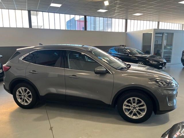 Ford Kuga 1.5 EcoBlue 120 CV 2WD Titanium