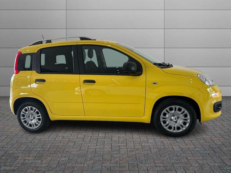 FIAT Pandina Pandina 1.0 firefly hybrid Icon s&s 65cv