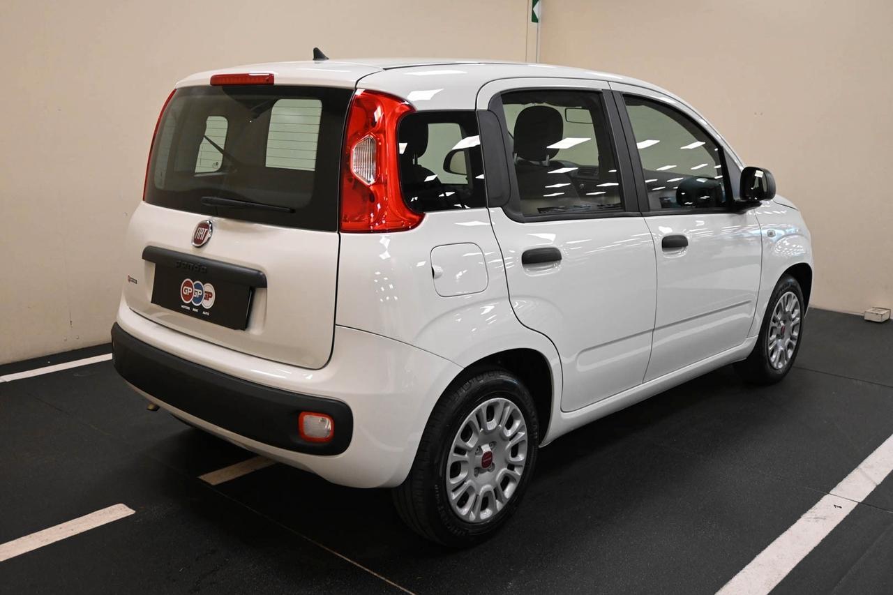 FIAT Panda 3ª serie Panda 1.0 FireFly S&S Hybrid