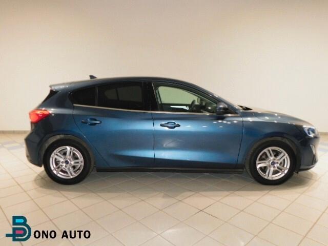 Ford Focus 1.5 EcoBlue 120 CV 5p. Business