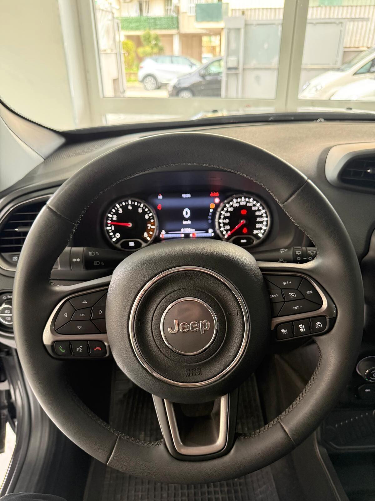 Jeep Renegade 1.3 T4 DDCT Limited