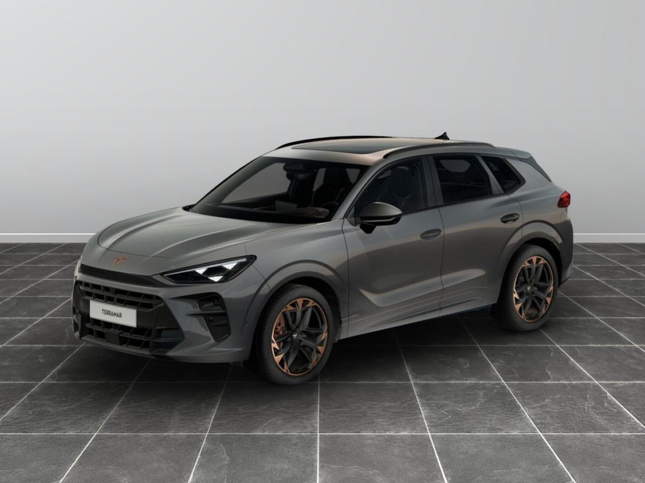 Cupra Terramar 2.0 tsi 265cv vz 4drive dsg
