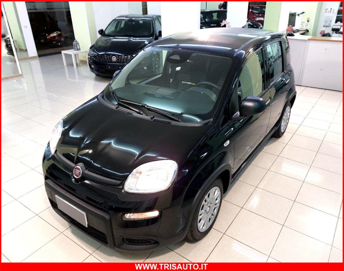 FIAT Panda 1.0 FireFly S&S Hybrid MY24 KM ZERO!!! IVATA NEOPATENTATI