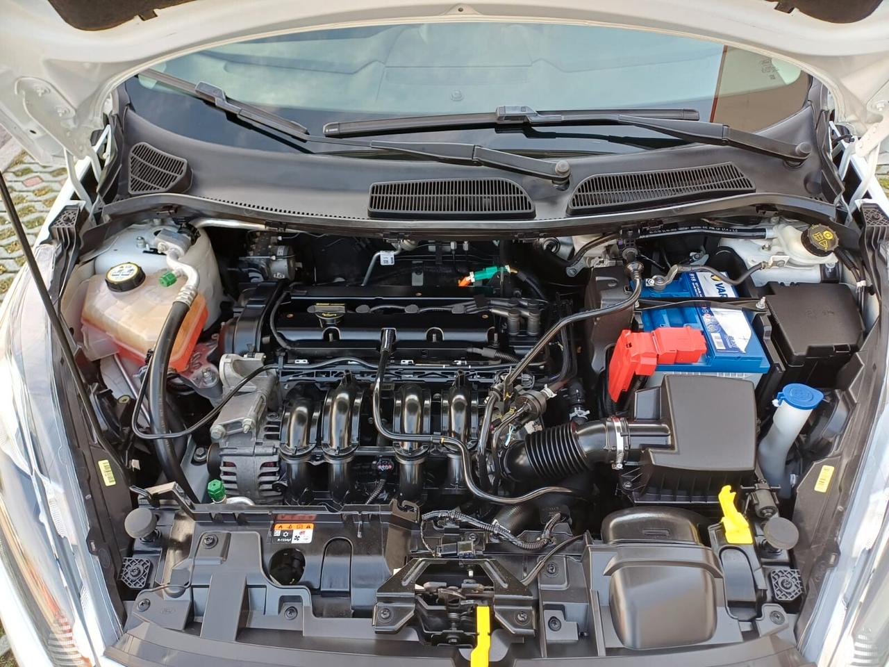 Ford Fiesta 1.2 60 cv 5 porte Plus