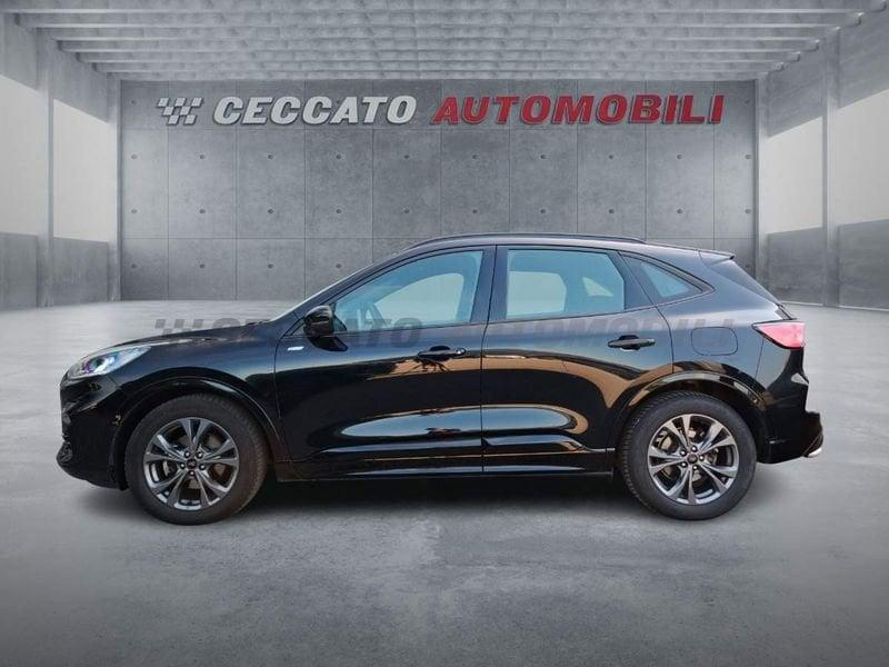 Ford Kuga Kuga 2.0 ecoblue ST-Line 2wd 120cv auto