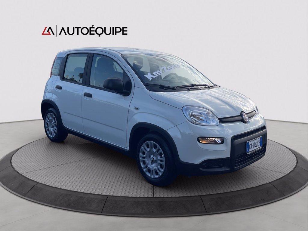 FIAT Panda 1.0 firefly hybrid s&s 70cv 5p.ti del 2024