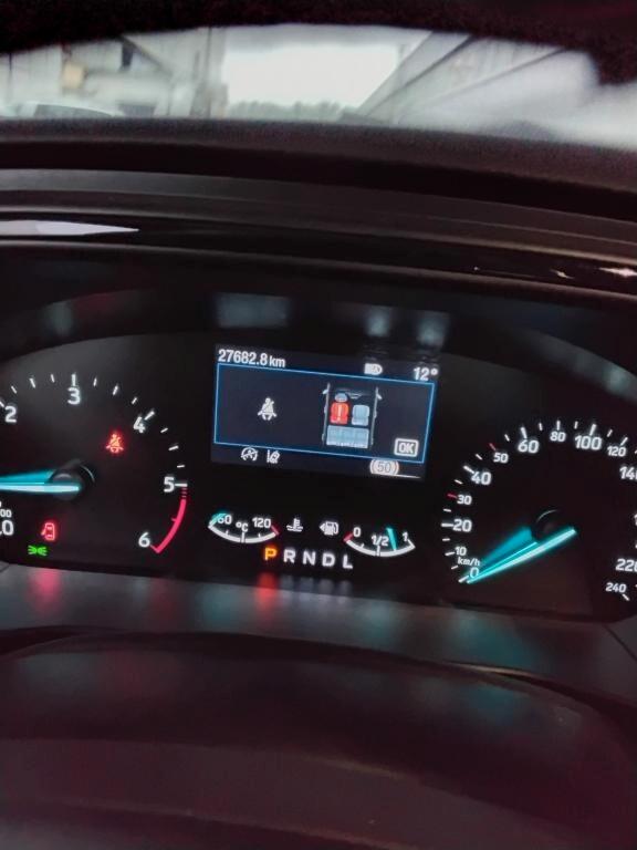 Ford Focus ST-Line 5p 1.5 EcoBlue 115cv Automatica 8M