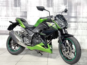 Kawasaki Z 300 Abs