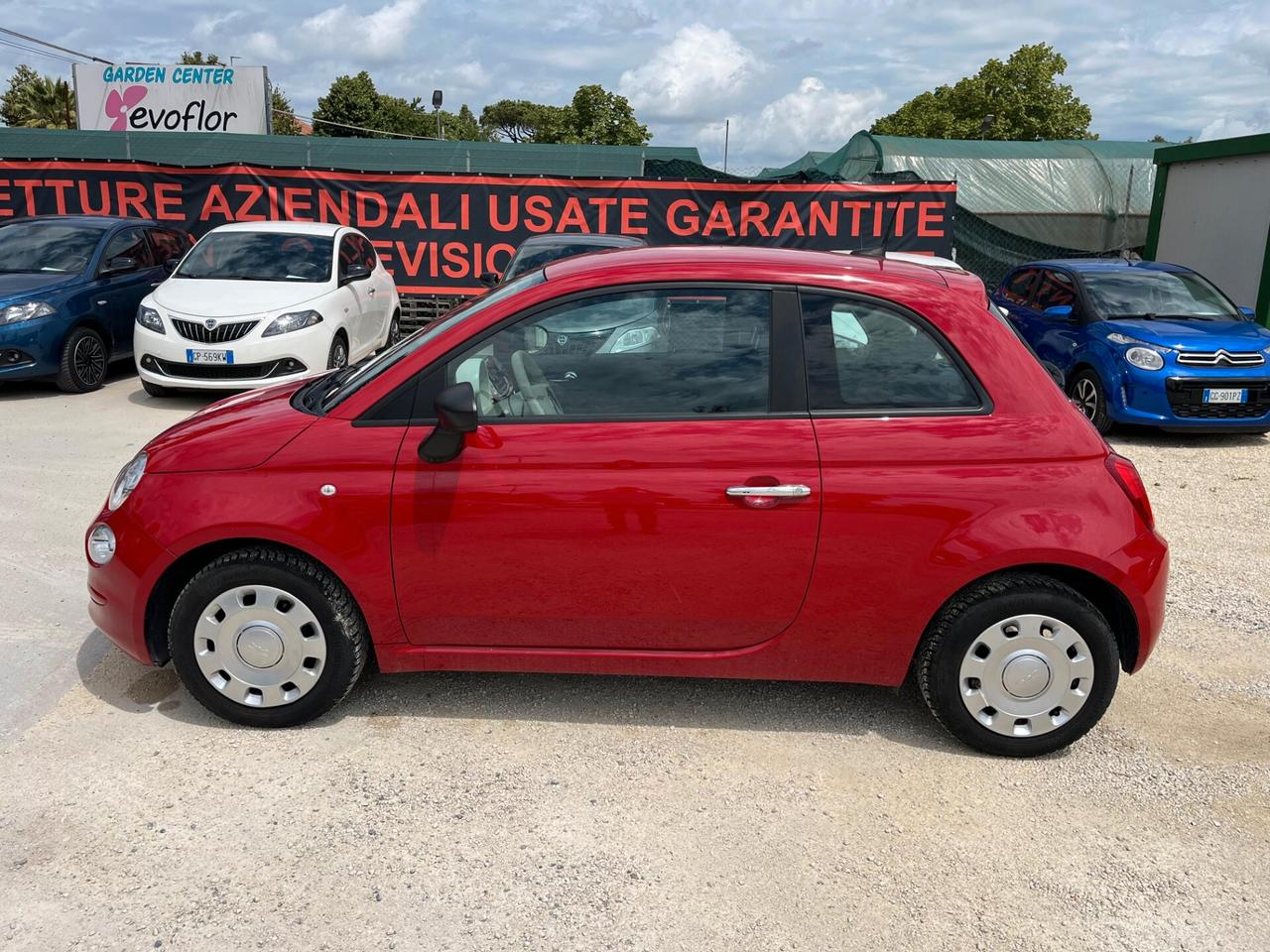 Fiat 500 1.0 Hybrid CULT- Unico proprietario - 44.942 KM