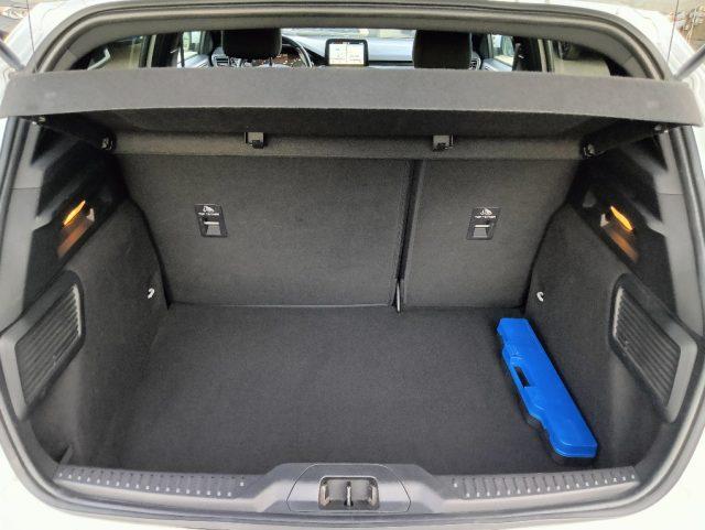 FORD Focus 1.5 EcoBlue 120 CV 5p. ST-Line