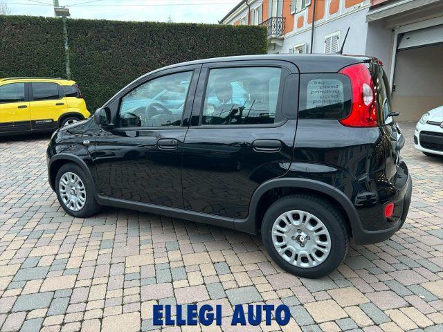FIAT Panda PROMO FINANZ.PANDINA 1.0 Hybrid KM 0