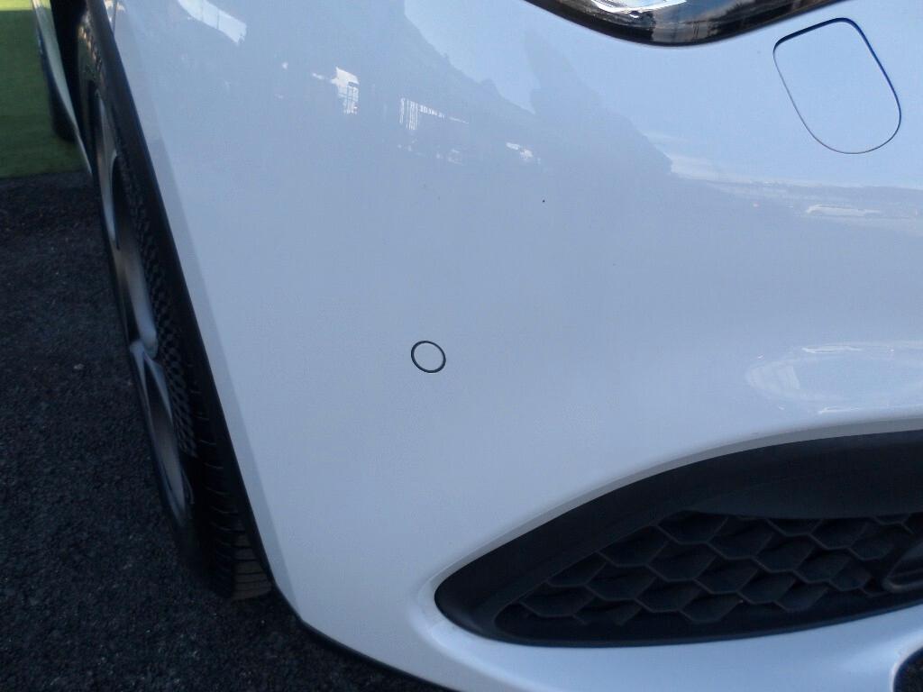 Alfa Romeo Stelvio 2.2 Turbodiesel 190 CV AT8 Q4 Sprint