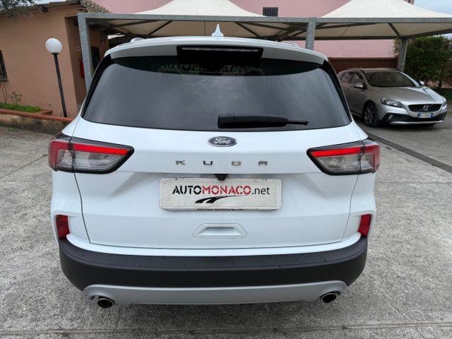 FORD Kuga 1.5 EcoBlue 120CV aut. 2WD Titanium Business