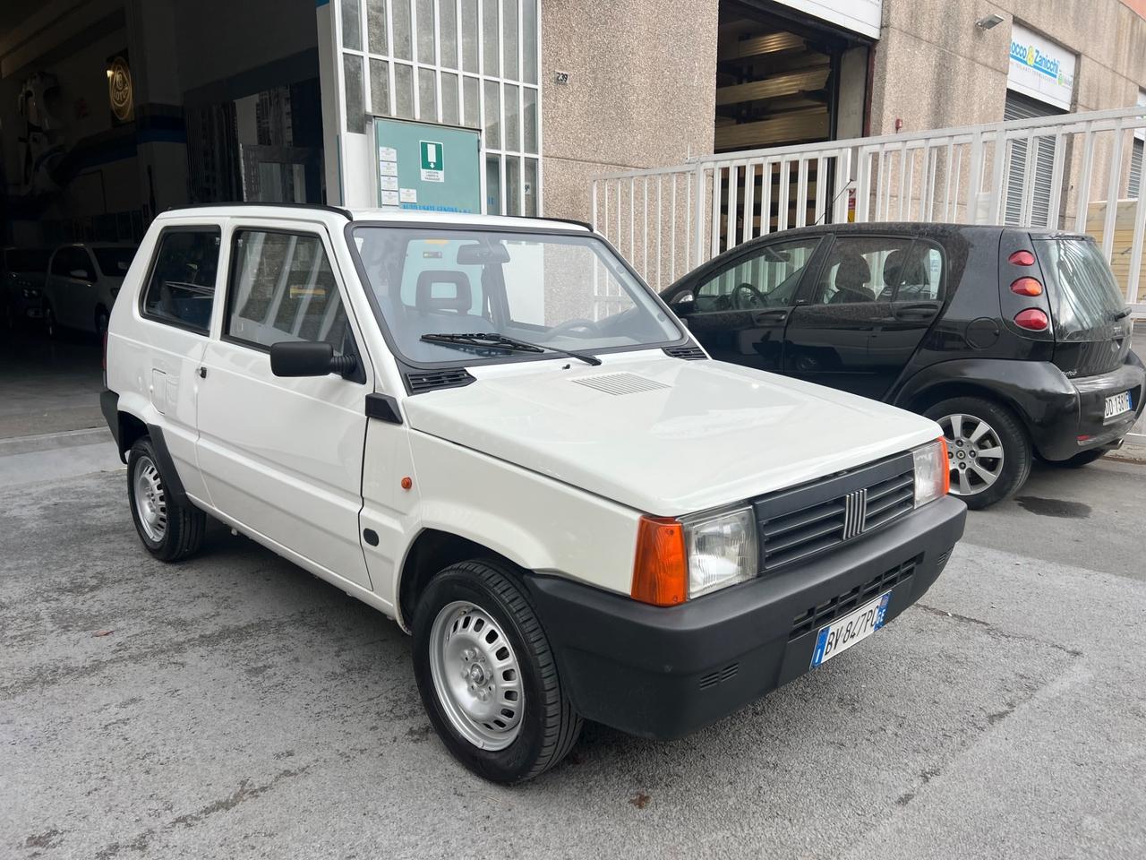 Fiat Panda 1100 i.e. cat Young
