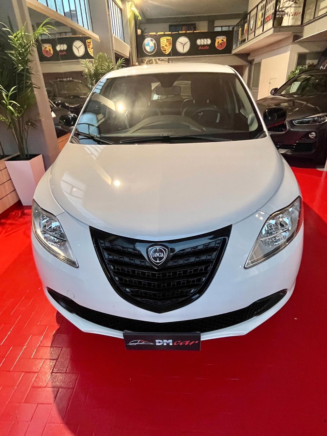 Lancia Ypsilon 0.9 TwinAir 85 CV Metano Elefantino