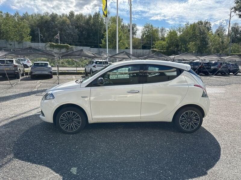Lancia Ypsilon Ypsilon 1.2 69 CV 5 porte GPL Gold