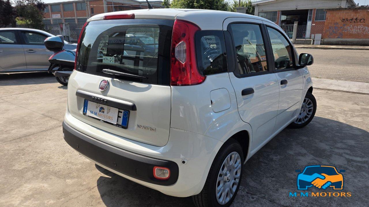 Fiat Pandina 1.0 firefly hybrid Pop s&s 70cv