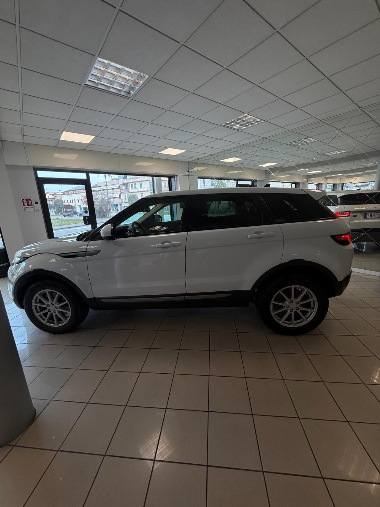 Land Rover Range Evoque 2.0 TD4 150 CV 5p. Pure