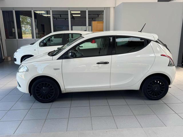 LANCIA Ypsilon 1.0 FireFly 5 porte S&S Hybrid Ecochic Silver