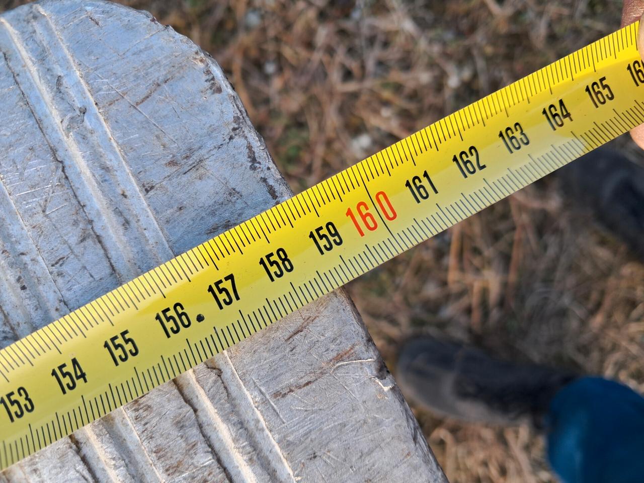 MASCOTTE 65 qli FRIGO E SPONDA