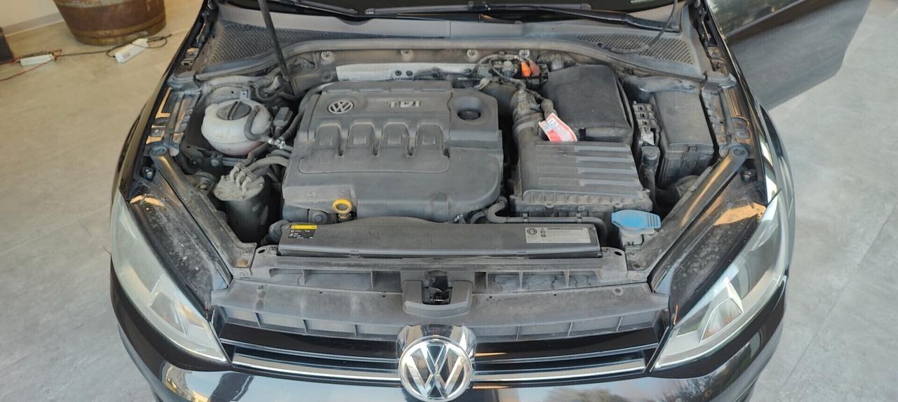 Volkswagen Golf 1.6 TDI 5p. Highline BlueMotion Technology