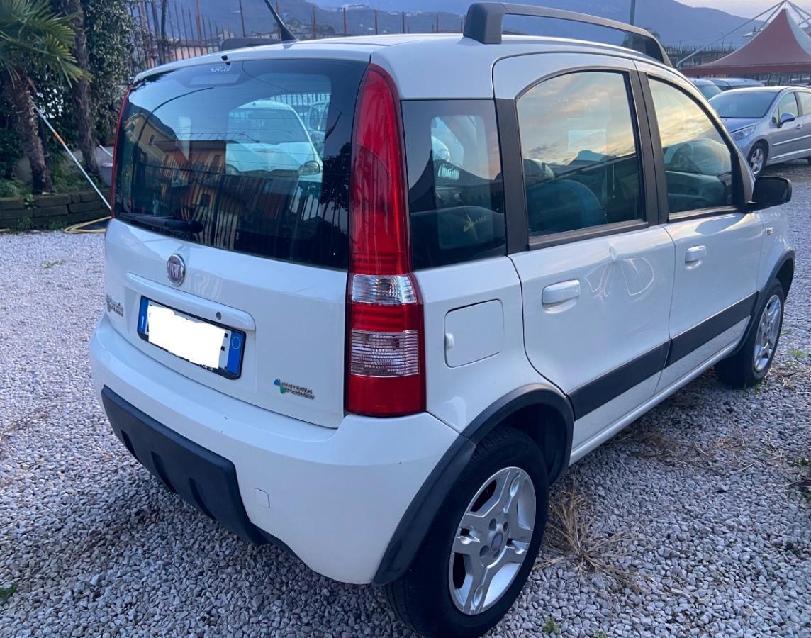 FIAT Panda 1.2 Climbing Natural Power metano