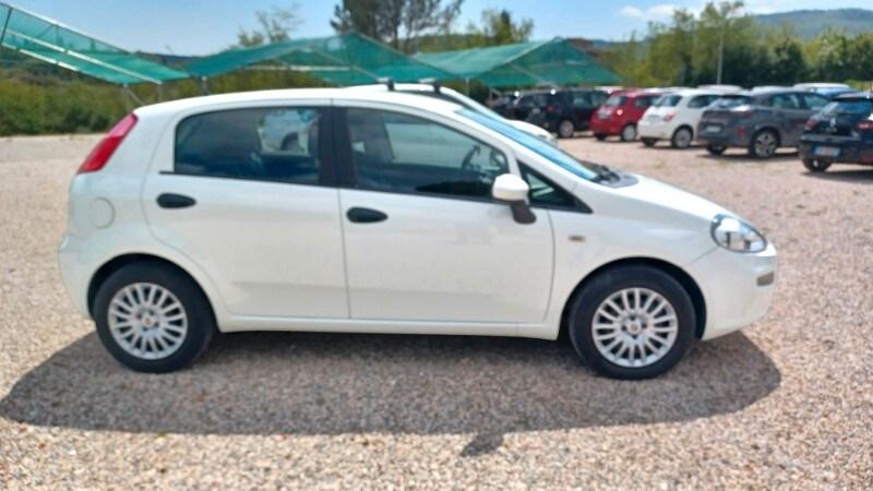 FIAT Punto 4ª serie Punto 1.2 8V 5 porte Street