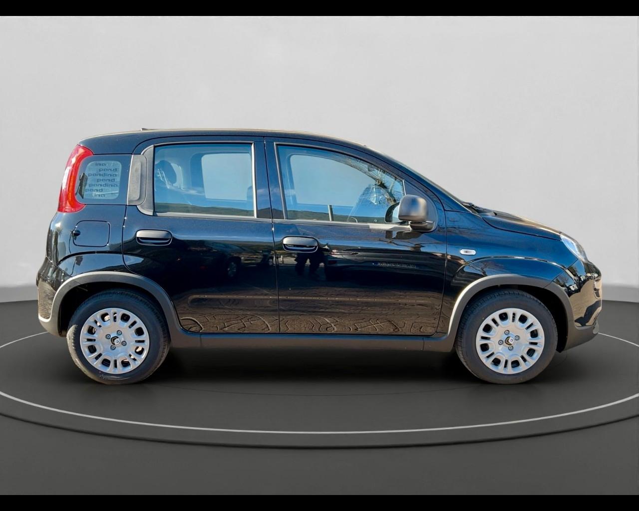 FIAT Panda III 2021 - Panda 1.0 firefly hybrid s&s 70cv