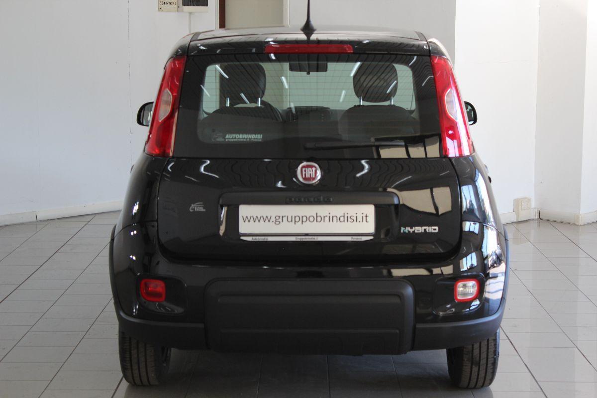 FIAT - Panda - 1.0 FireFly S&S Hybrid Launch Ed.