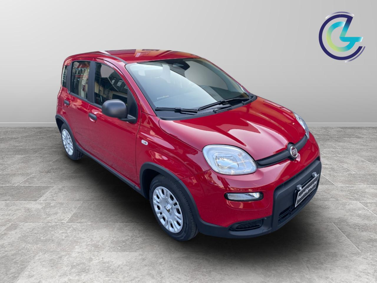 FIAT Panda III 2024 - Panda 1.0 firefly hybrid s&s 70cv