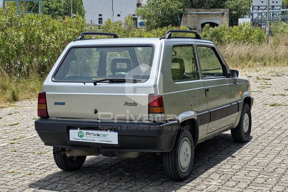 FIAT Panda 1ª serie 1100 i.e. cat Young