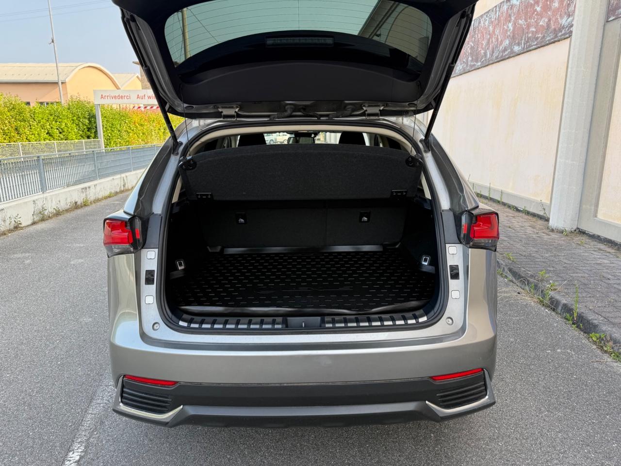 Lexus NX 300h NX Hybrid Business 2020