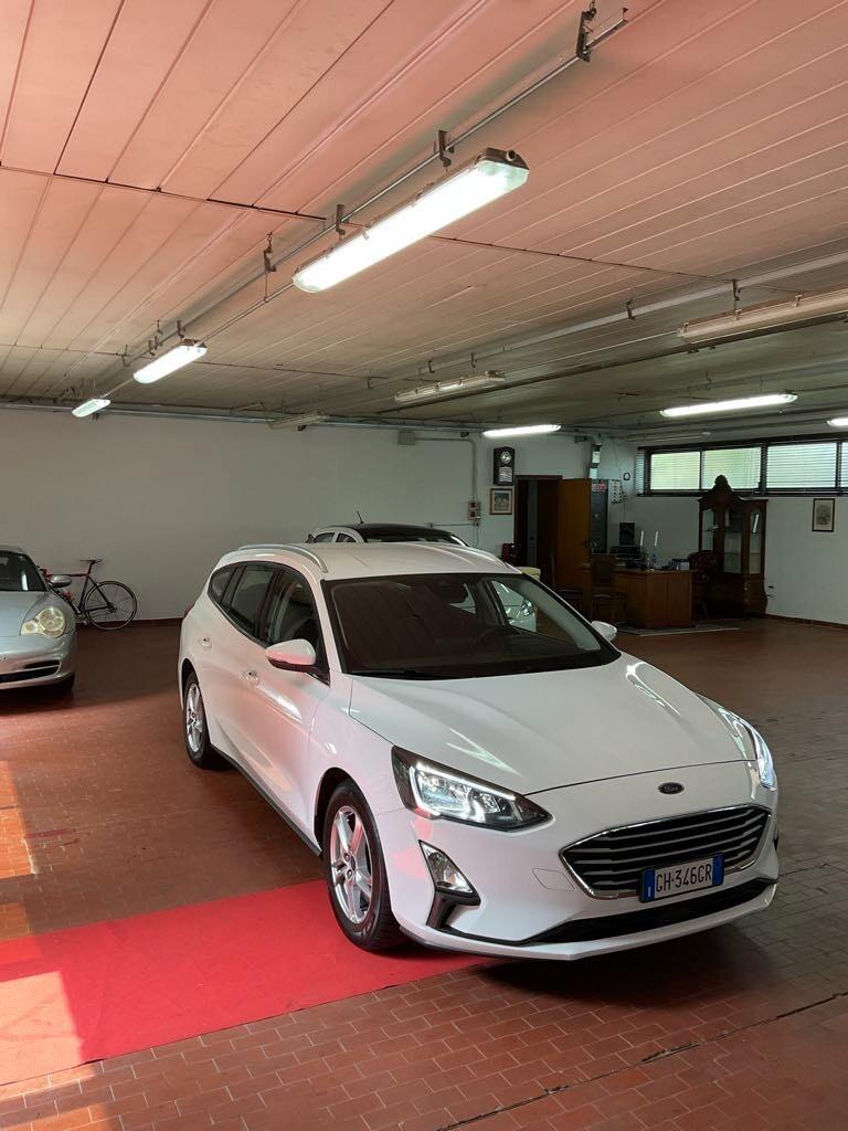 Ford Focus 1.5 EcoBlue 120 CV automatico SW Business