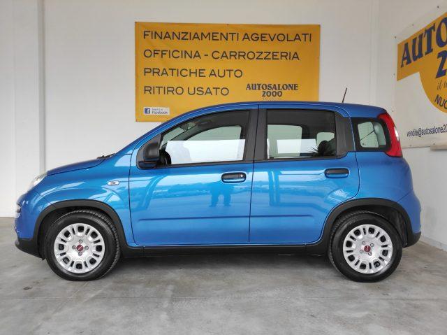 FIAT Panda 1.0 FireFly S&S Hybrid PREZZO REALE / NEOPATENTATI