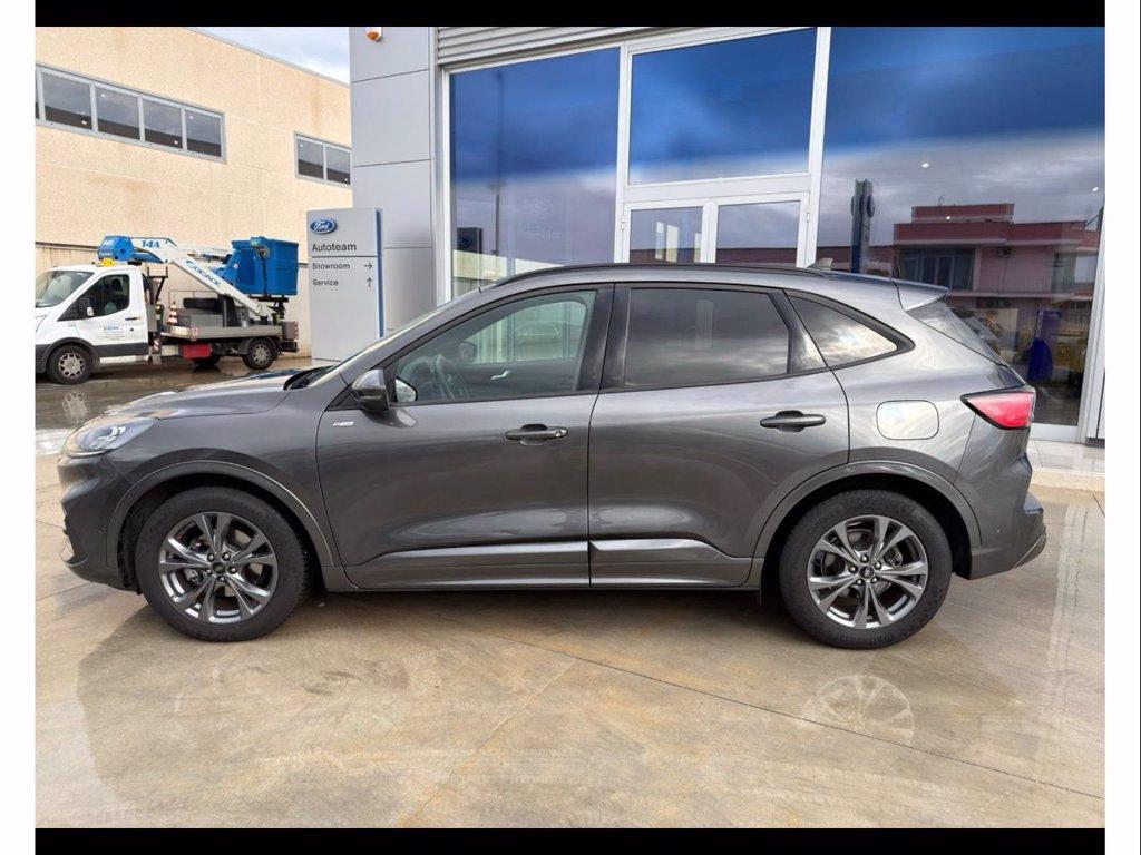 FORD Kuga 2.0 ecoblue st-line x 2wd 120cv auto del 2023