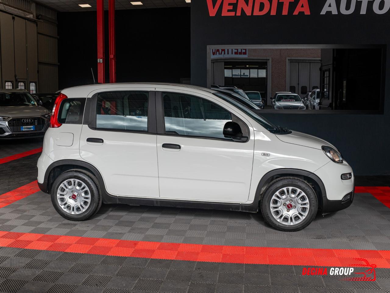 Fiat Panda 1.0 FireFly S&S Hybrid 70 cv