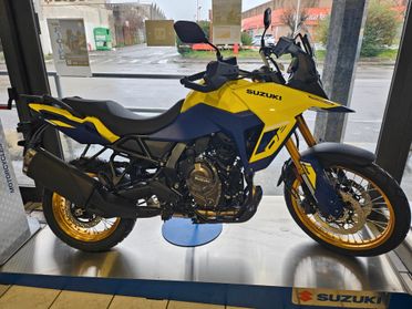 Suzuki V Strom DL 800 DL 800 DE RUOTE A RAGGI