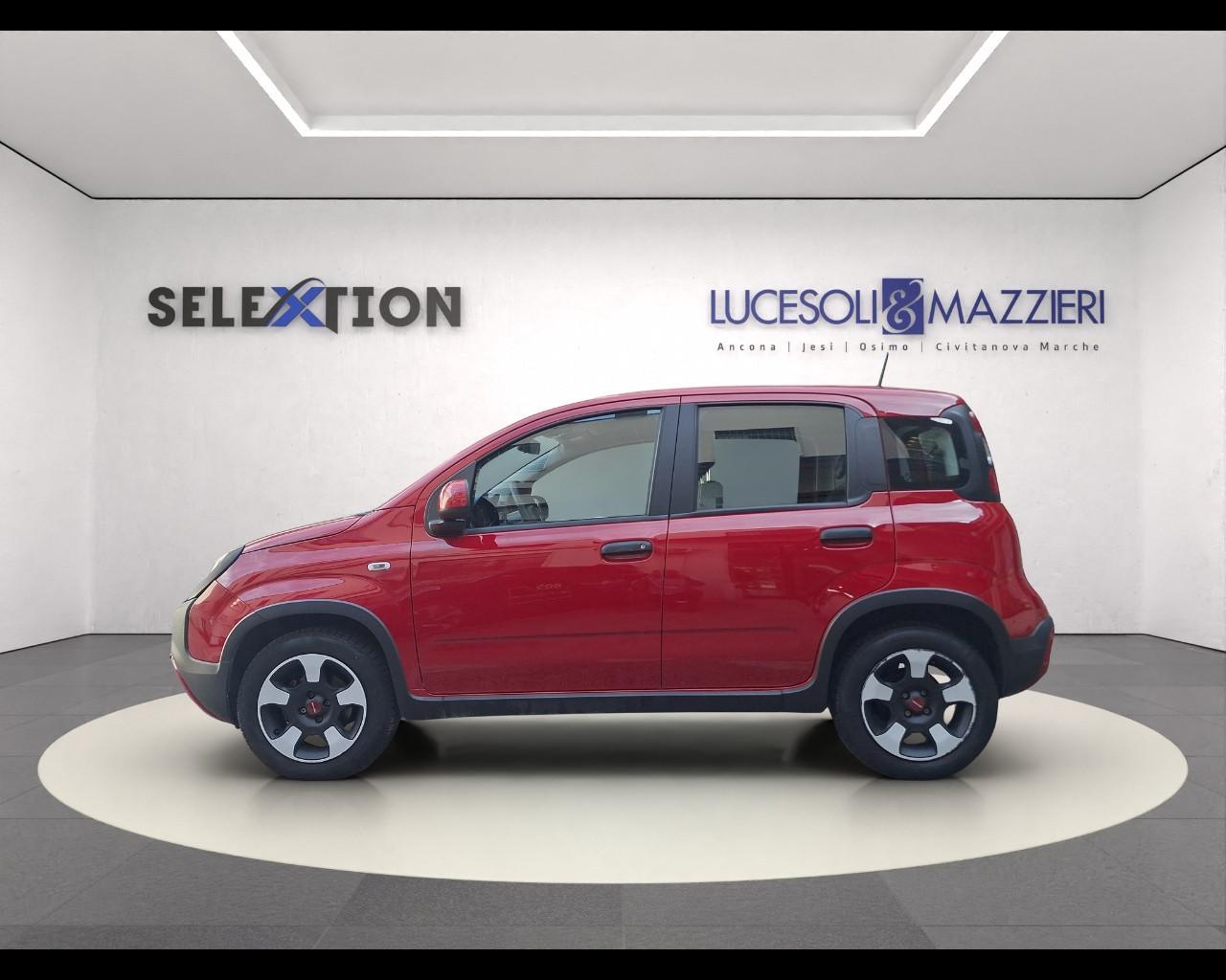 FIAT Panda 3ª serie - Panda 1.0 FireFly S&S Hybrid City Cross