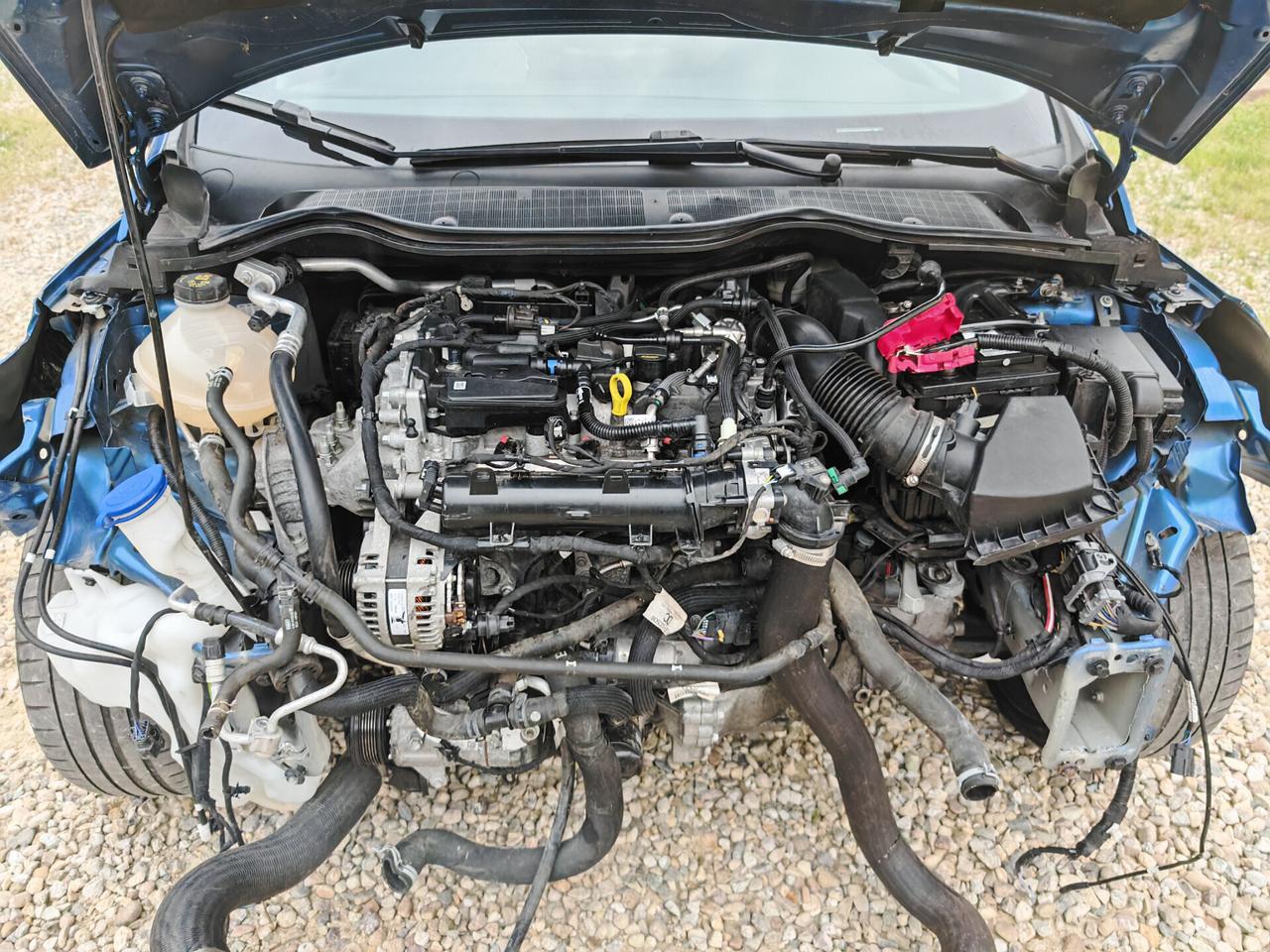 Ford Fiesta 1.5 Ecoboost 200 CV 5 porte ST