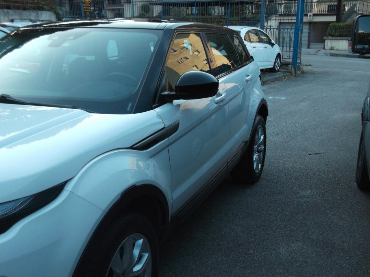 Land Rover Range Rover Evoque Range Rover Evoque 2.0 TD4 150 CV 5p. Business Edition SE - 23