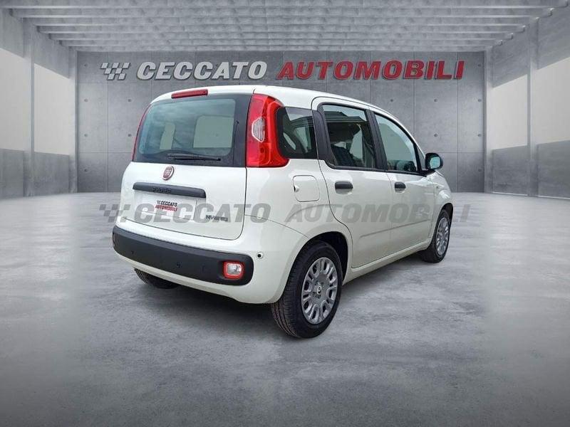 FIAT Panda Panda 1.0 firefly hybrid s&s 70cv