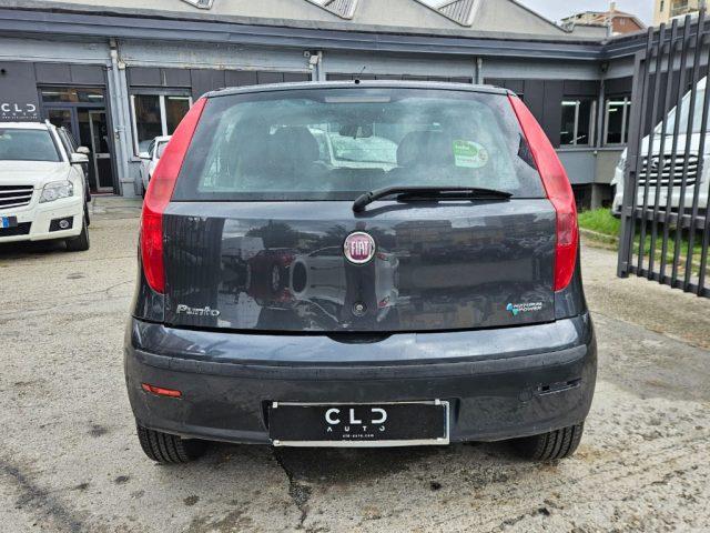 FIAT Punto Classic 1.2 5 porte Natural Power Active