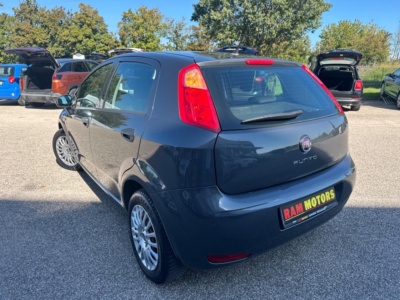 Fiat Punto 1.2 8V 5 porte Street NEOPATENTATI