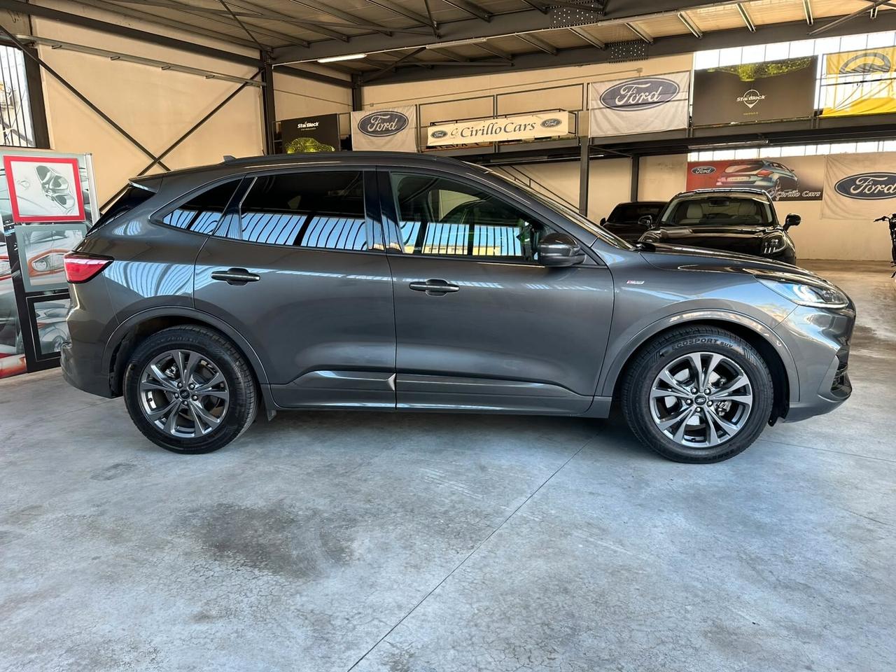 Ford Kuga 1.5 EcoBlue 120CV 2WD ST-Line