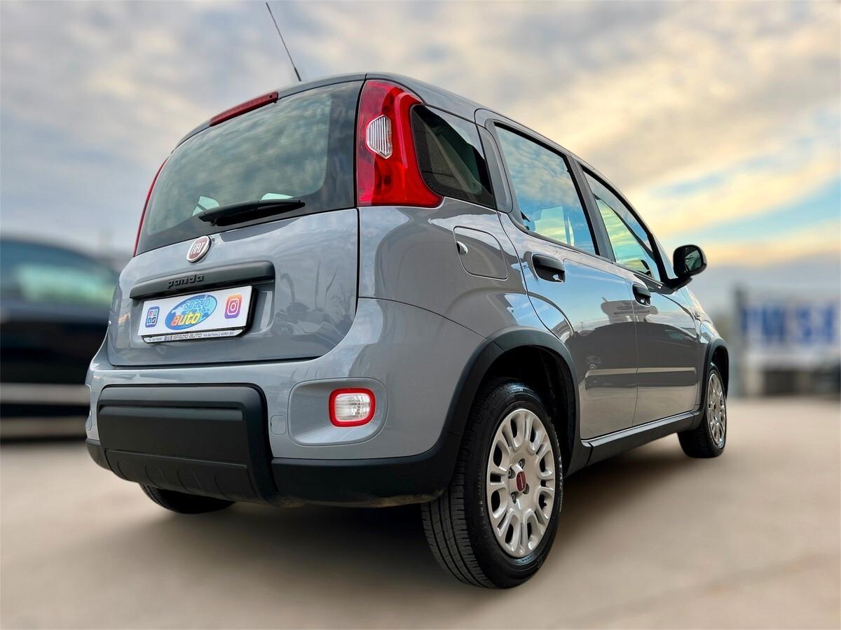 Fiat Panda 1.2 EasyPower Easy X NEOPATENTATI