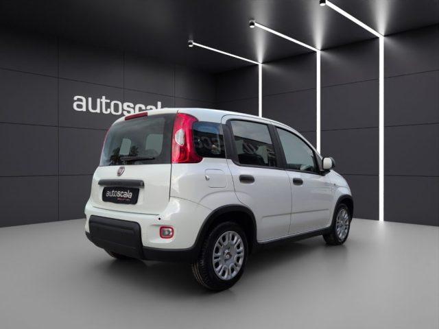 FIAT Panda 1.0 FireFly S&S Hybrid Pandina