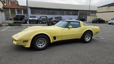 Corvette C3 T-Top