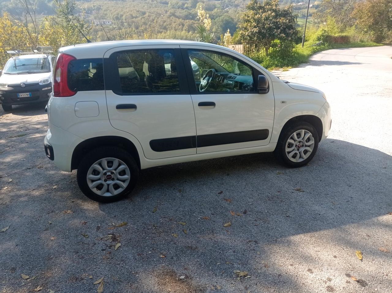 Fiat Panda 4x4 del 2020