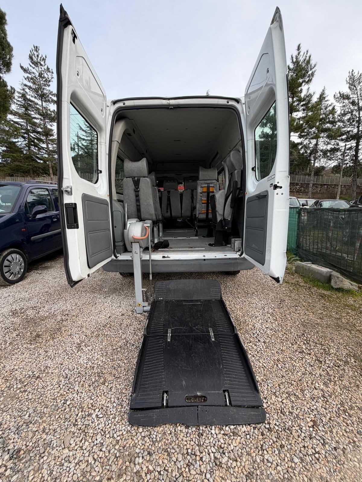 Ford transit 9 posti pedana idraulica x carrozzina